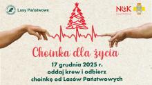 Choinka dla życia: podaruj krew, odbierz świąteczne drzewko